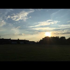 Meet your Posher, Maesie